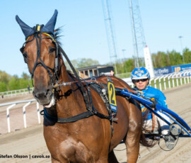 1 Yalla Yalla - Markus Waldmüller | Jägersro 260505 Foto: Stefan Olsson