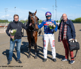 10 Honey Orchard | Jägersro 260514 Foto: Stefan Olsson