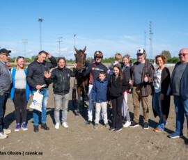 10 Have a Drink on Me | Jägersro 260514 Foto: Stefan Olsson