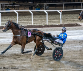 10 Nicolai Hanover - Adrian Kolgjini | Jägersro 260505 Foto: Stefan Olsson