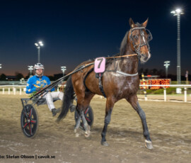 10 Nicolai Hanover - Adrian Kolgjini | Jägersro 260505 Foto: Stefan Olsson
