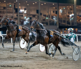 11 Nouvelle Lune - Thomas Uhrberg | Jägersro 260505 Foto: Stefan Olsson