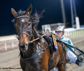 11 Nouvelle Lune - Thomas Uhrberg | Jägersro 260505 Foto: Stefan Olsson