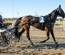2 Followup - Adrian Kolgjini | Jägersro 260505 Foto: Stefan Olsson