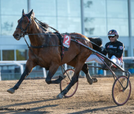 3 Time the Hill - Johan Untersteiner | Jägersro 260505 Foto: Stefan Olsson