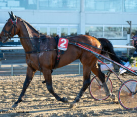 3 Time the Hill - Johan Untersteiner | Jägersro 260505 Foto: Stefan Olsson