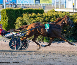 4 Amazing Hazel - Gustav Johansson | Jägersro 260505 Foto: Stefan Olsson