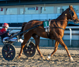 4 Amazing Hazel - Gustav Johansson | Jägersro 260505 Foto: Stefan Olsson
