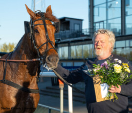 4 Amazing Hazel | Jägersro 260505 Foto: Stefan Olsson