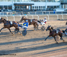 5 Philou Boko - Erwin Bot | Jägersro 260505 Foto: Stefan Olsson