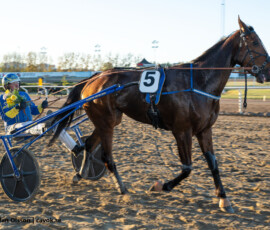 5 Philou Boko - Erwin Bot | Jägersro 260505 Foto: Stefan Olsson