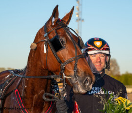 6 Moonshine Mearas - Johan Untersteiner | Jägersro 260505 Foto: Stefan Olsson