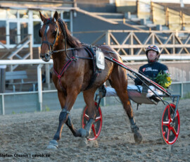 6 Moonshine Mearas - Johan Untersteiner | Jägersro 260505 Foto: Stefan Olsson