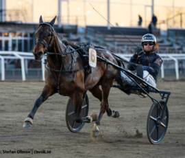 7 Victor Flax - Max Karlsson | Jägersro 260505 Foto: Stefan Olsson