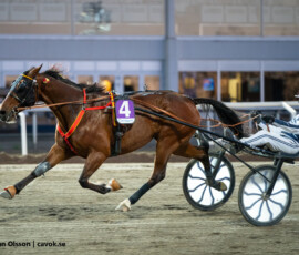 8 Mark Schermer - Jörgen Sjunnesson | Jägersro 260505 Foto: Stefan Olsson