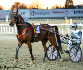 8 Mark Schermer - Jörgen Sjunnesson | Jägersro 260505 Foto: Stefan Olsson