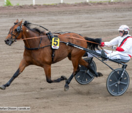 01 Mcllroy o Bengt Olsson | Jägersro 260616 | Foto: Stefan Olsson