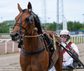 01 Mcllroy o Bengt Olsson | Jägersro 260616 | Foto: Stefan Olsson