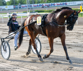 01 Tornado O.C. o Kim Hagoort | Jägersro 260602 | Foto: Stefan Olsson