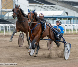 02 Global Highflyer o Tyler Mifsud | Jägersro 260616 | Foto: Stefan Olsson