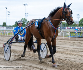 02 Global Highflyer o Tyler Mifsud | Jägersro 260616 | Foto: Stefan Olsson