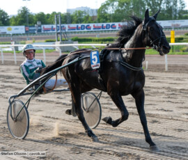 02 Kings Wizard o Thomas Uhrberg | Jägersro 260602 | Foto: Stefan Olsson
