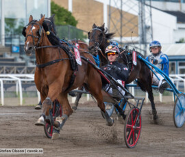 03 Format Kronos o Johan Untersteiner | Jägersro 260610 | Foto: Stefan Olsson
