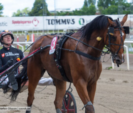 03 Format Kronos o Johan Untersteiner | Jägersro 260610 | Foto: Stefan Olsson
