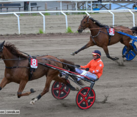 03 Steady Express o Johan Untersteiner | Jägersro 260616 | Foto: Stefan Olsson