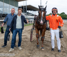 03 Steady Express o Johan Untersteiner | Jägersro 260616 | Foto: Stefan Olsson