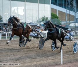 04 Prince of Euro o Per Nordström | Jägersro 260602 | Foto: Stefan Olsson