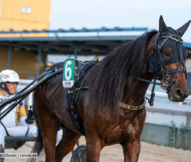 04 Prince of Euro o Per Nordström | Jägersro 260602 | Foto: Stefan Olsson