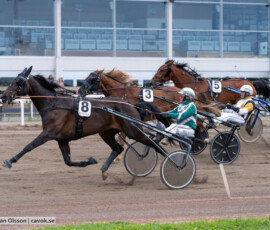 05 Swishful o Thomas Uhrberg | Jägersro 260616 | Foto: Stefan Olsson
