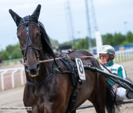05 Swishful o Thomas Uhrberg | Jägersro 260616 | Foto: Stefan Olsson