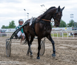 05 Swishful o Thomas Uhrberg | Jägersro 260616 | Foto: Stefan Olsson