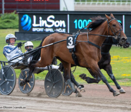 06 Swept Away S. o Jörgen Sjunnesson | Jägersro 260616 | Foto: Stefan Olsson