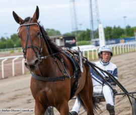 06 Swept Away S. o Jörgen Sjunnesson | Jägersro 260616 | Foto: Stefan Olsson