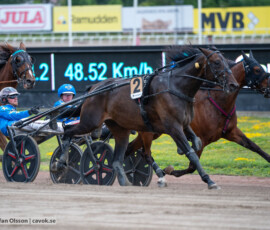 07 Eugenius Face o Dante Kolgjini | Jägersro 260616 | Foto: Stefan Olsson