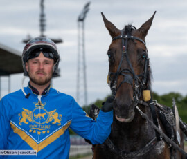 07 Eugenius Face o Dante Kolgjini | Jägersro 260616 | Foto: Stefan Olsson