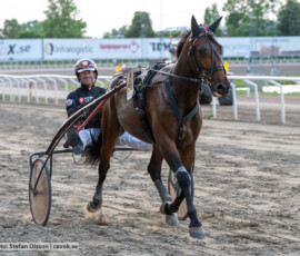 07 Global Silvio o Johan Untersteiner | Jägersro 260602 | Foto: Stefan Olsson