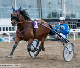 08 First Wise L. o Joakim Lövgren | Jägersro 260616 | Foto: Stefan Olsson