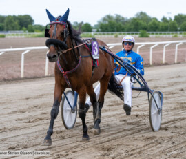 08 First Wise L. o Joakim Lövgren | Jägersro 260616 | Foto: Stefan Olsson