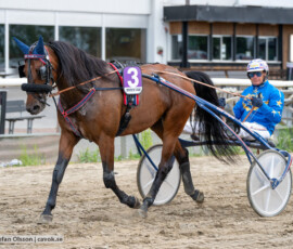 08 First Wise L. o Joakim Lövgren | Jägersro 260616 | Foto: Stefan Olsson