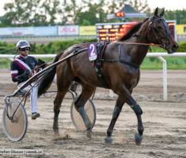 08 Stella Lane o Adrian Kolgjini | Jägersro 260602 | Foto: Stefan Olsson