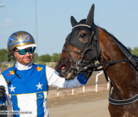 01 Indyjones Font o Jaap van Rijn | Jägersro 260714 | Foto: Stefan Olsson / CAVOK photo