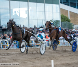 02 Juventas o Örjan Kihlström | Jägersro 260728 | Foto: Stefan Olsson