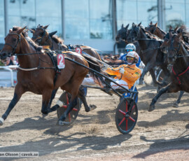 03 First Choice o Alessandro Gocciadoro | Jägersro 260728 | Foto: Stefan Olsson
