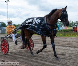 05 Gabrioz o Alessandro Gocciadoro | Jägersro 260728 | Foto: Stefan Olsson