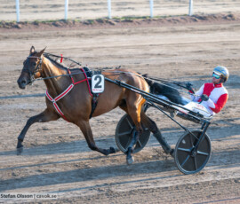 05 Rena Schermer o Jaap van Rijn | Jägersro 260714 | Foto: Stefan Olsson / CAVOK photo