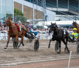 06 Intesa Ek o Magnus A Djuse | Jägersro 260728 | Foto: Stefan Olsson